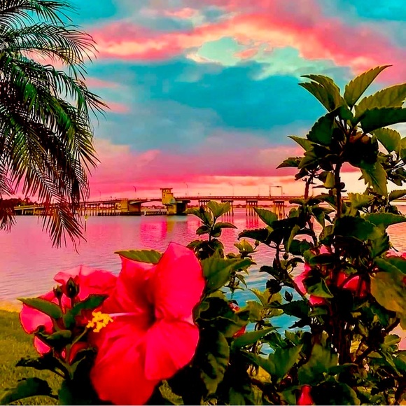 Meet your Posher, Hannah - Picture 1 of 2